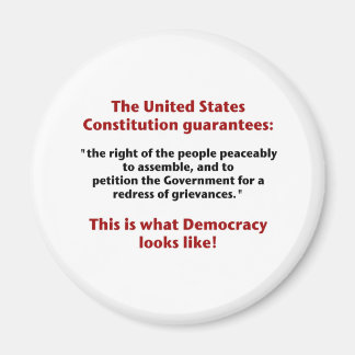 The Right to Assemble - What Democracy Looks Like Magnet