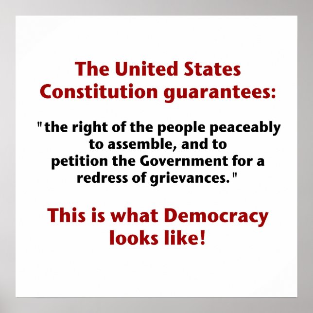 The Right to Assemble - What Democracy Looks Like Poster (Front)