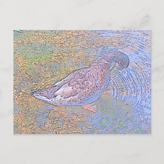 The Ripples Postcard (Front)