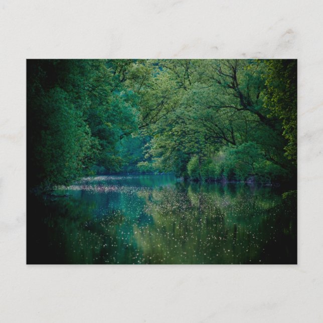 The River • Postcard (Front)