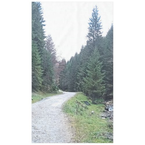 The Road Between Pines - Wild Nature Romania Tablecloth