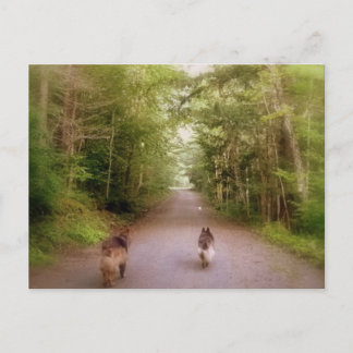 The Road Home Postcard