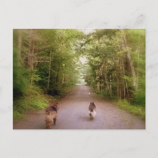 The Road Home Postcard (Front)