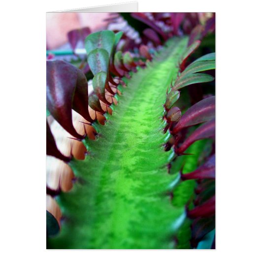 The Road Less Traveled (Front)