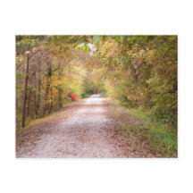 The Road Less Traveled