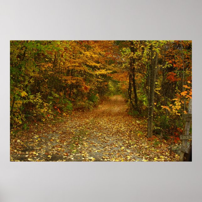 The Road Less Traveled Poster (Front)