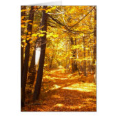 The Road Not Taken (Front)