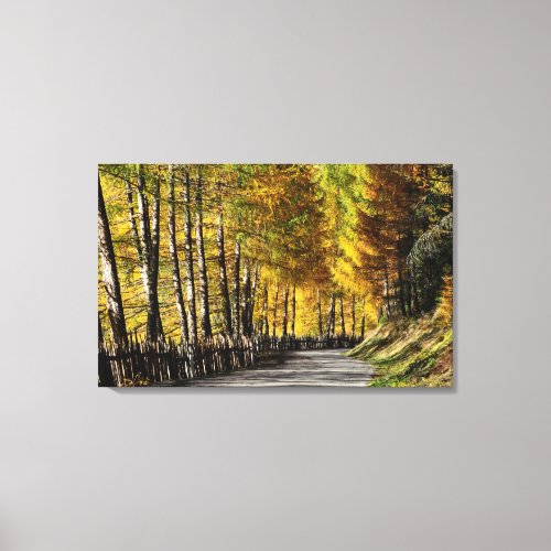 The road to autumn canvas print