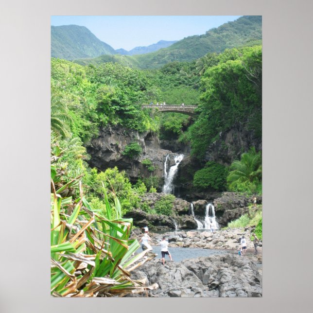 The Road To Hana Poster (Front)