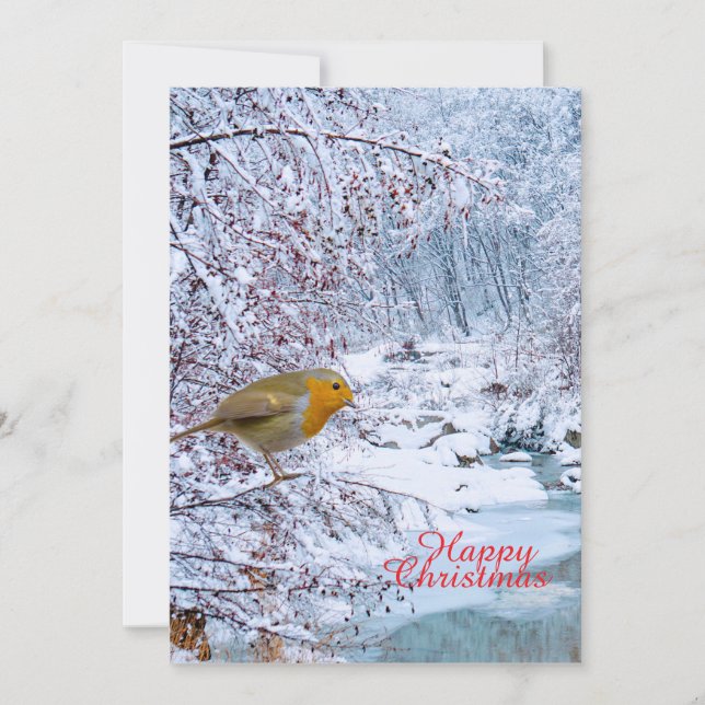 The Robin Holiday Card (Front)