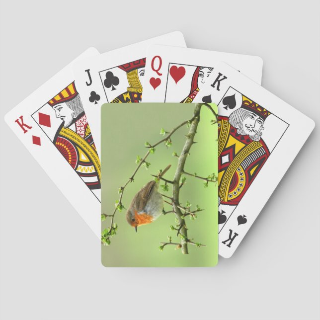 The Robin Poker Cards (Back)
