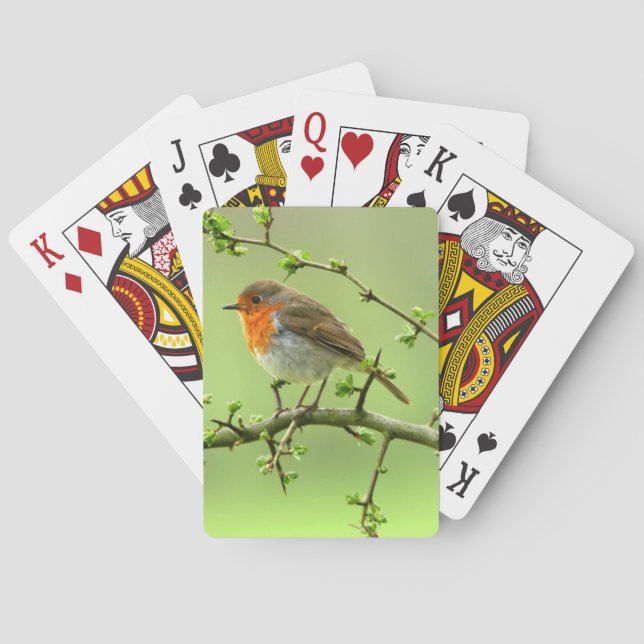 The Robin Poker Cards (Back)