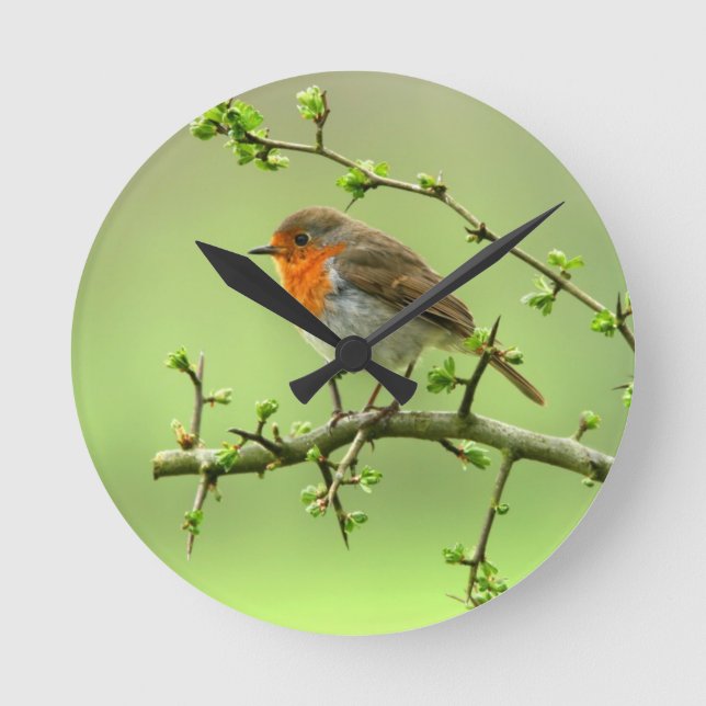 The Robin Round Clock (Front)