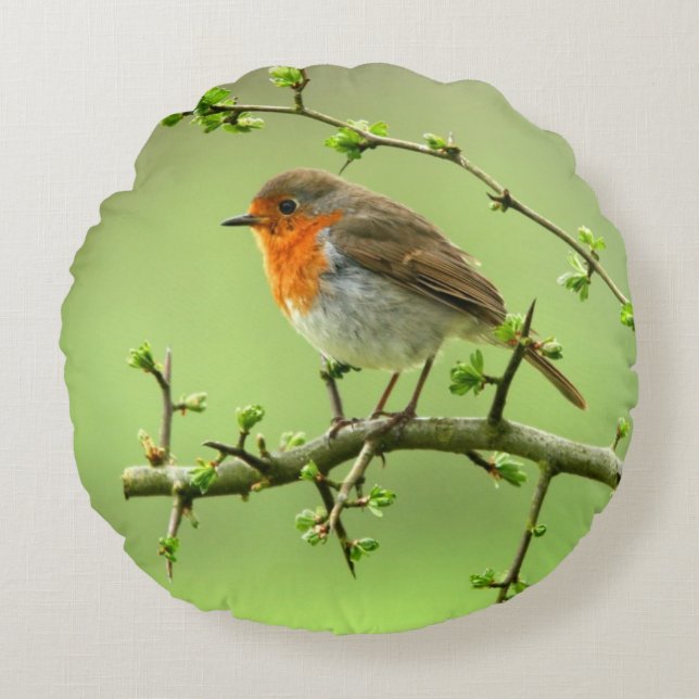 The Robin Round Pillow (Front)