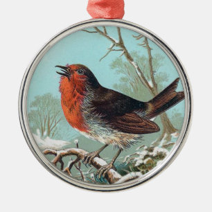 The Robin Vintage Bird Illustration Metal Ornament