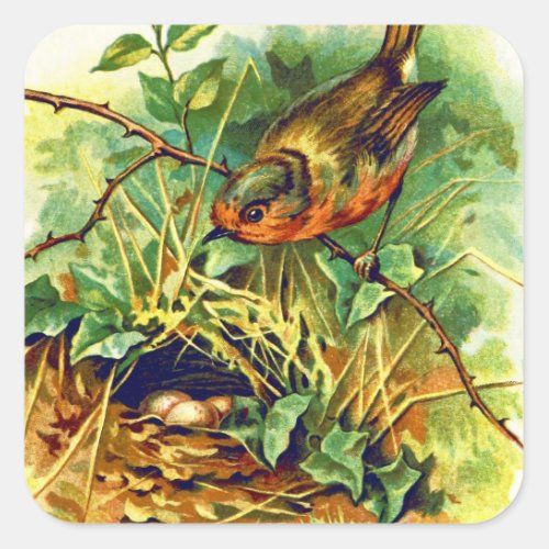 The Robins Nest Vintage Illustration Square Sticker