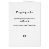 The Rocket Thrower (Back)