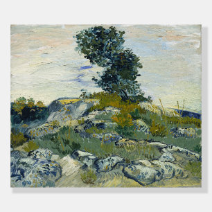 The Rocks Vincent van Gogh Foam Board
