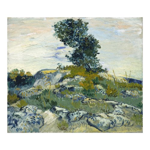 The Rocks Vincent van Gogh  Photo Print