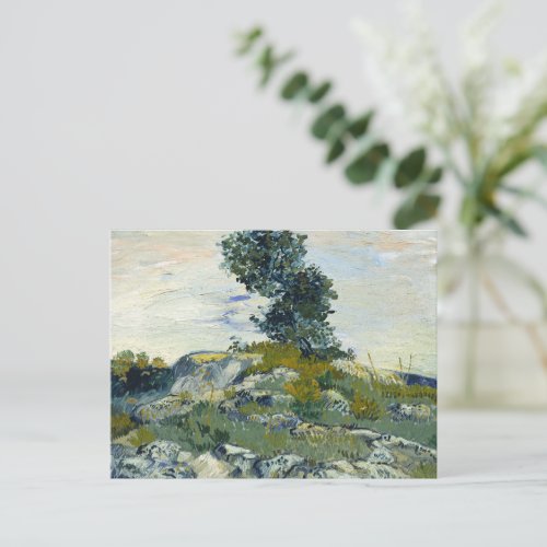 The Rocks Vincent van Gogh  Postcard