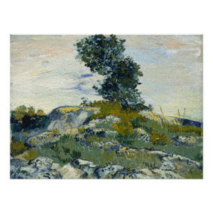 The Rocks Vincent van Gogh Poster