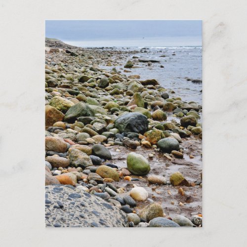 The Rocky Beaches of Montauk Long Island NY Postcard