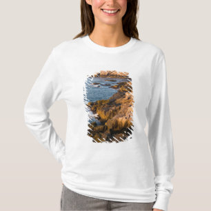 The rocky coast of Isle au Haut in Maine's T-Shirt