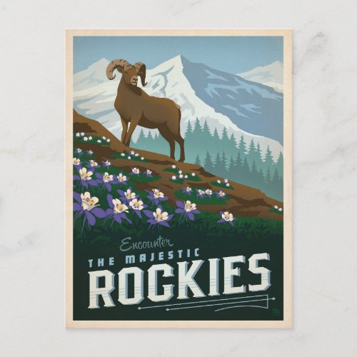 The Rocky Mountains  Colorado Postcard