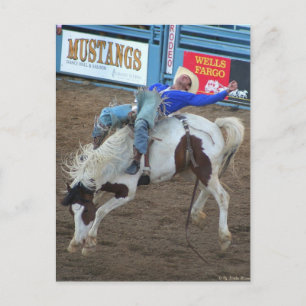 The Rodeo Collection - Wild Ride Postcard