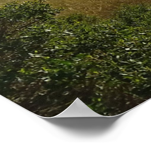 The Rolling Hills of Ignacio Poster Zazzle