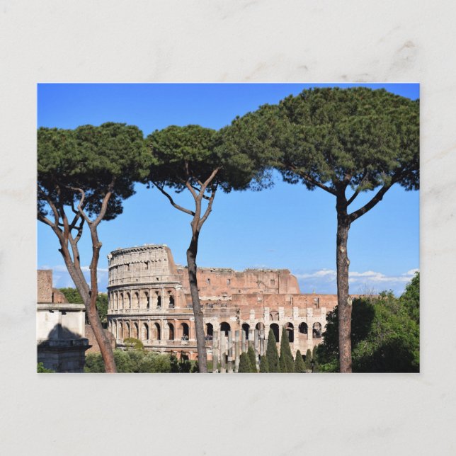 The Roman Colosseo Postcard (Front)