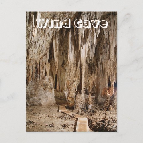 The Rookery Wind Cave National Park SD Postcard