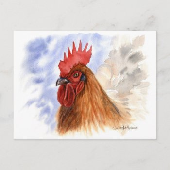 The Rooster Design By Schukina A087 Postcard by AnimalsBeauty at Zazzle