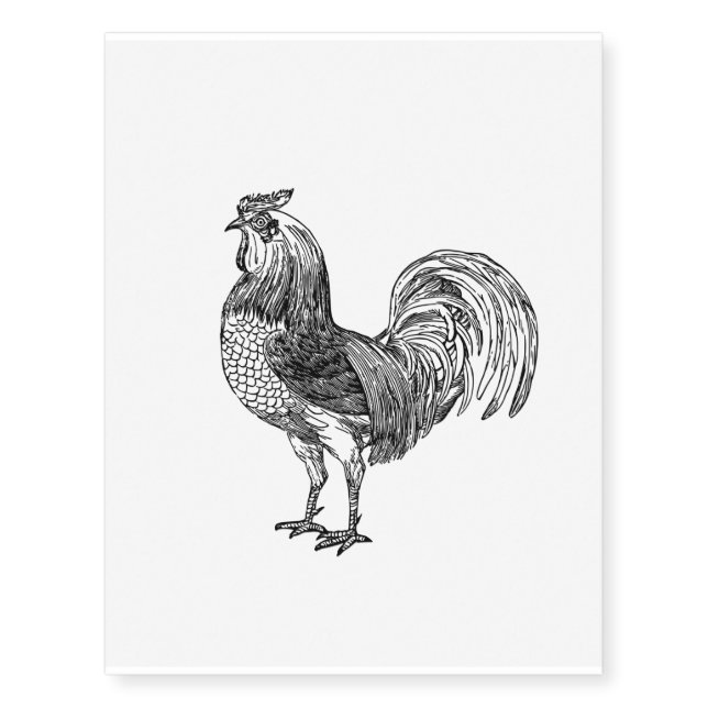 The Rooster  Temporary Tattoos (Front)