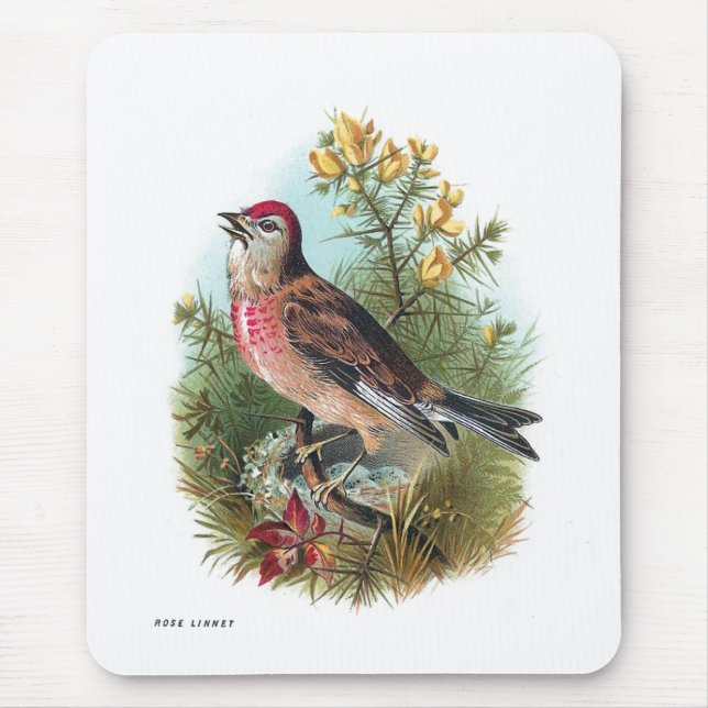 The Rose Linnet Mouse Pad (Front)