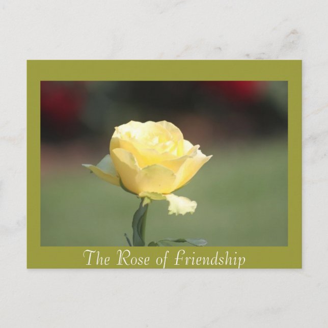 The Rose of Friendship Postcard (Front)