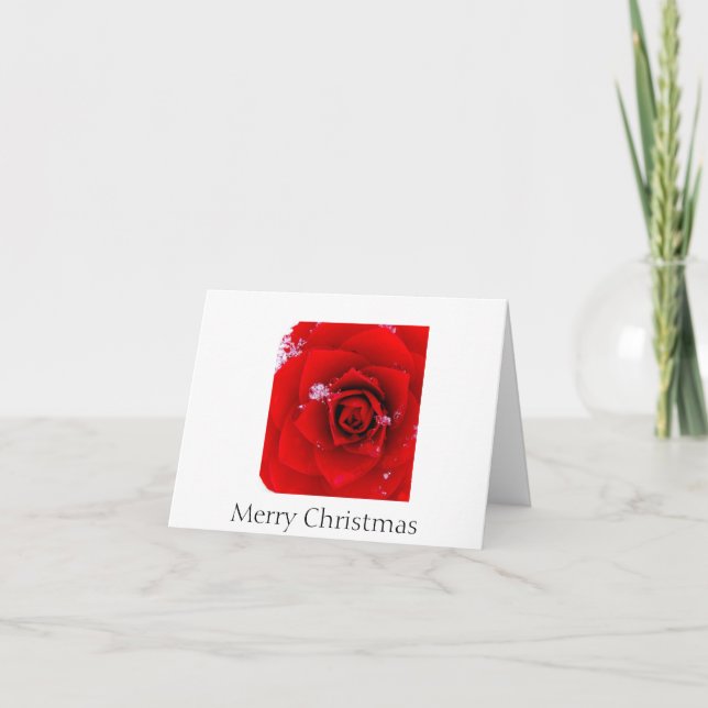 The Rose of Sharon Christmas notecard (Front)
