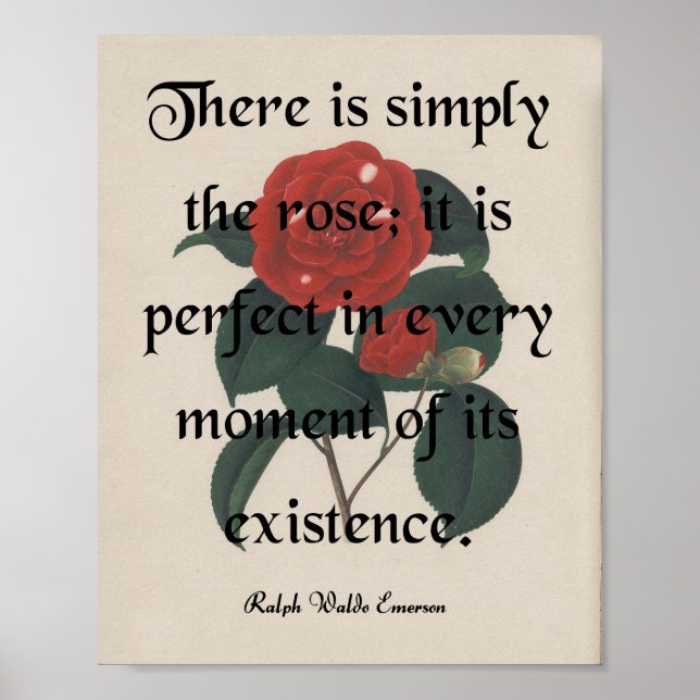 The Rose Poster (Front)