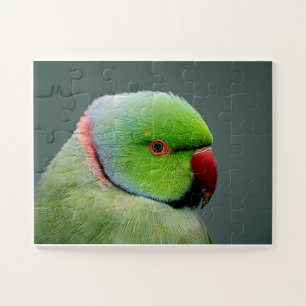 The Rose Ringed Parakeet Jigsaw Puzzle