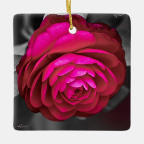 The Rosy Camellia  Ceramic Ornament