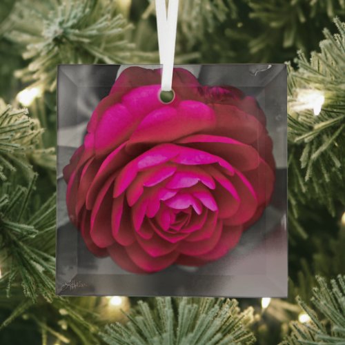 The Rosy Camellia  Glass Ornament