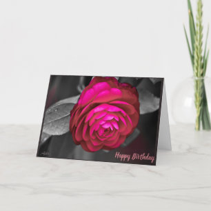 The Rosy Camellia Happy Birthday Letterpress Thank You Card
