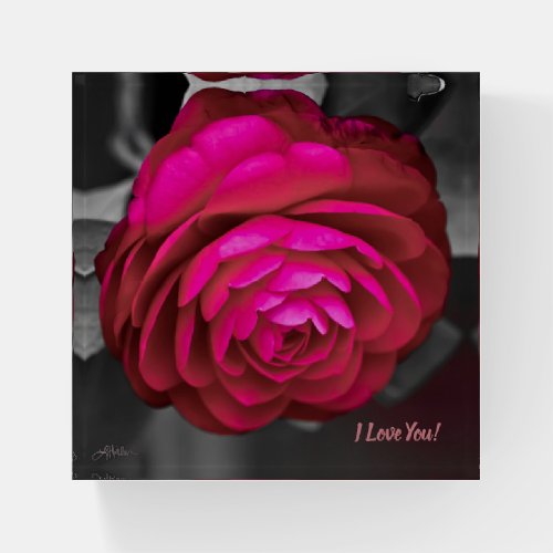 The Rosy Camellia I Love You Paperweight
