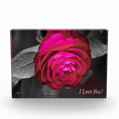 The Rosy Camellia I Love You Photo Block