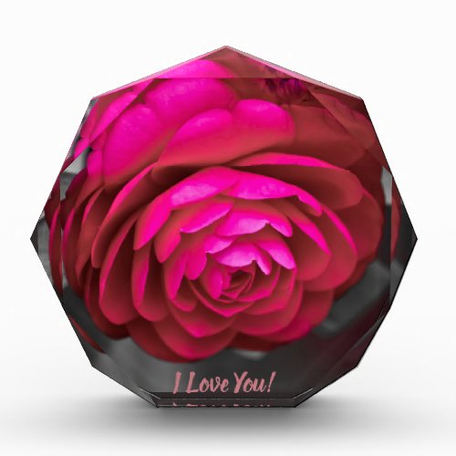 The Rosy Camellia I Love You Photo Block