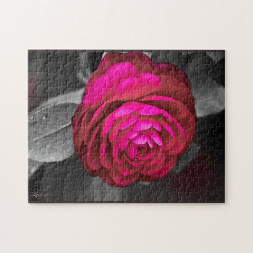 The Rosy Camellia  Jigsaw Puzzle
