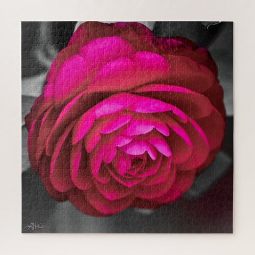 The Rosy Camellia  Jigsaw Puzzle