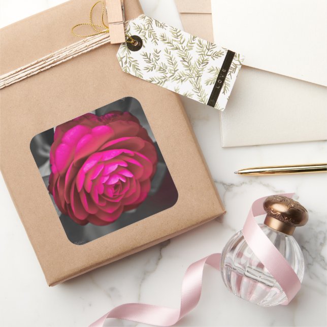 The Rosy Camellia  Square Sticker (Gifting)