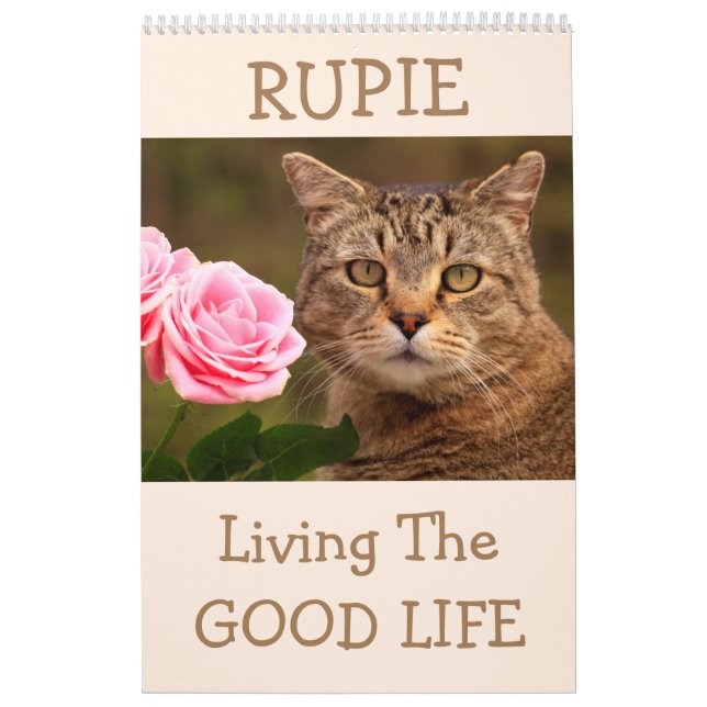 The Rupie Shop Cute Cat Calendar (Cover)