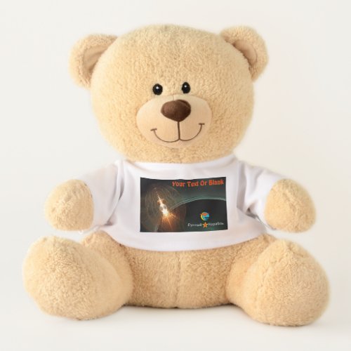 The Russian Moon Landing Teddy Bear